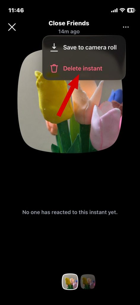 Deleting Instagram Instant